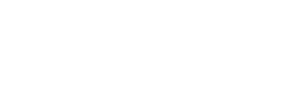 Sponsor 17